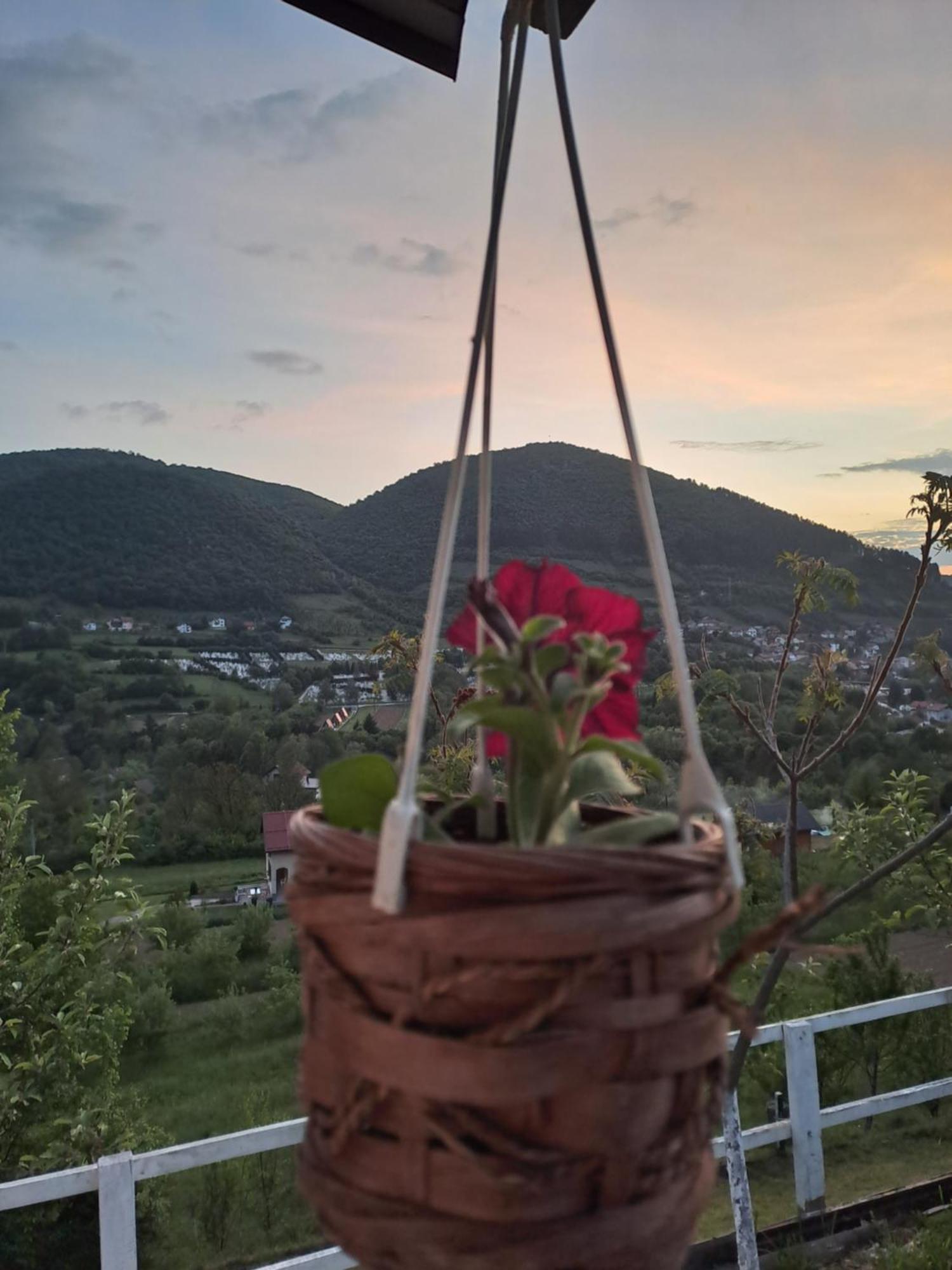 Natural House Visoko Oda fotoğraf